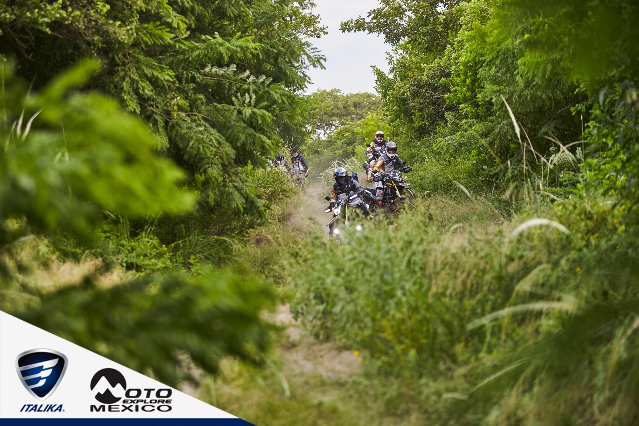 ITALIKA CHACHALACAS D1 392